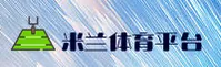 使用指南与常见问题